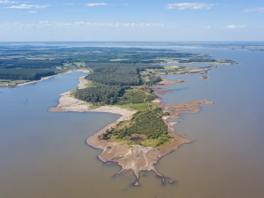 Reserva Forestal Chaviy� - Imagen: Turismoentrerios.com